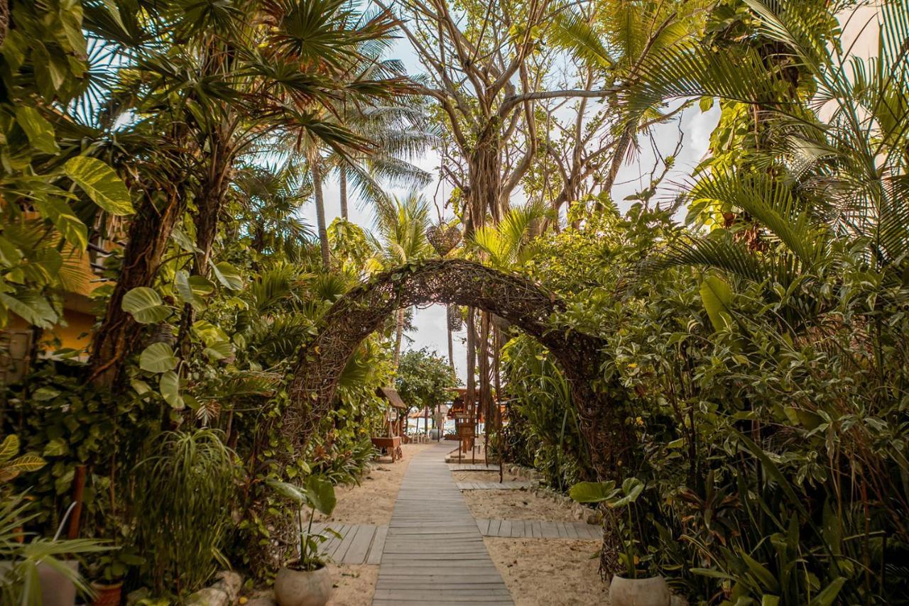 Hotel Colibri 4*
