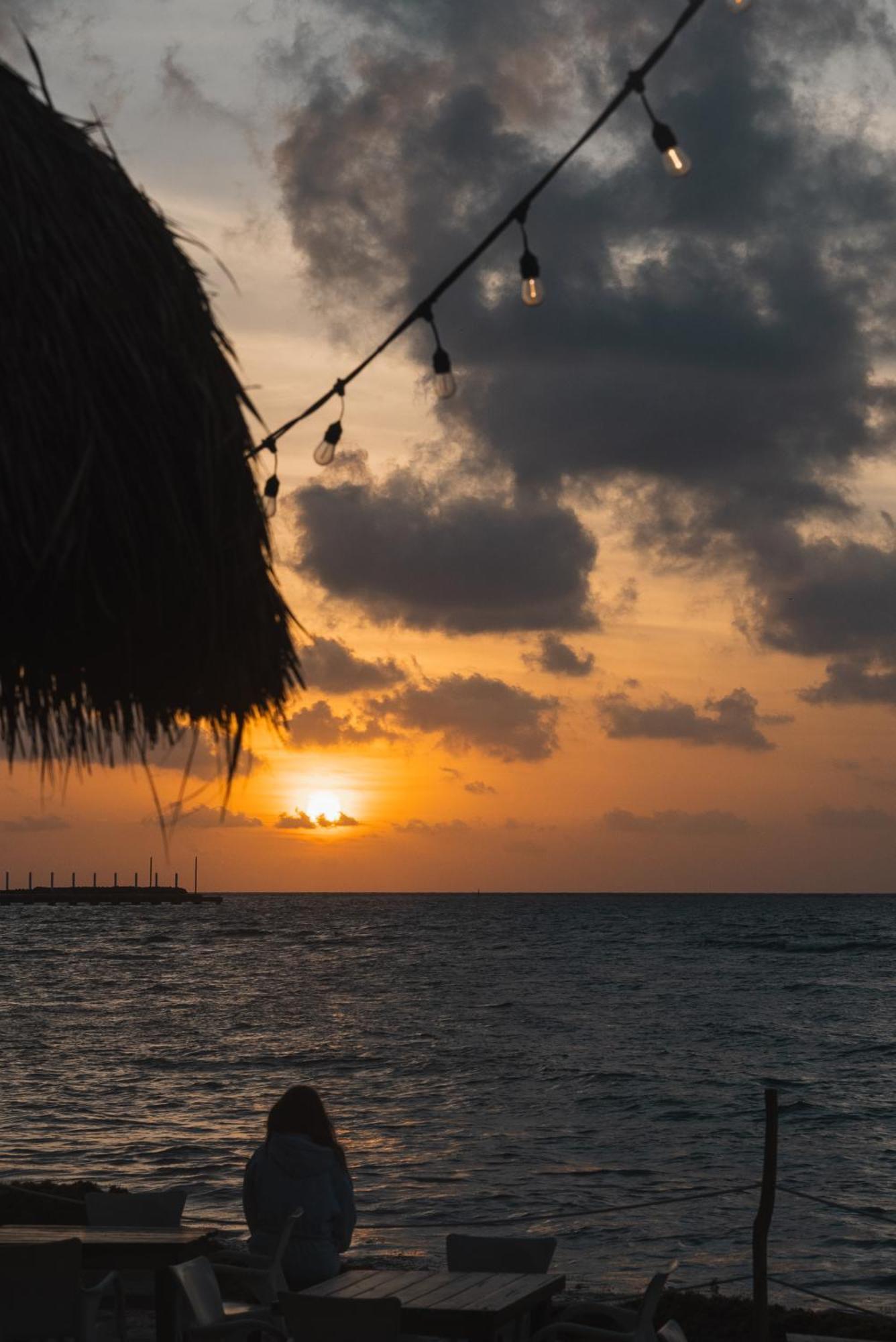 Colibri Playa del Carmen