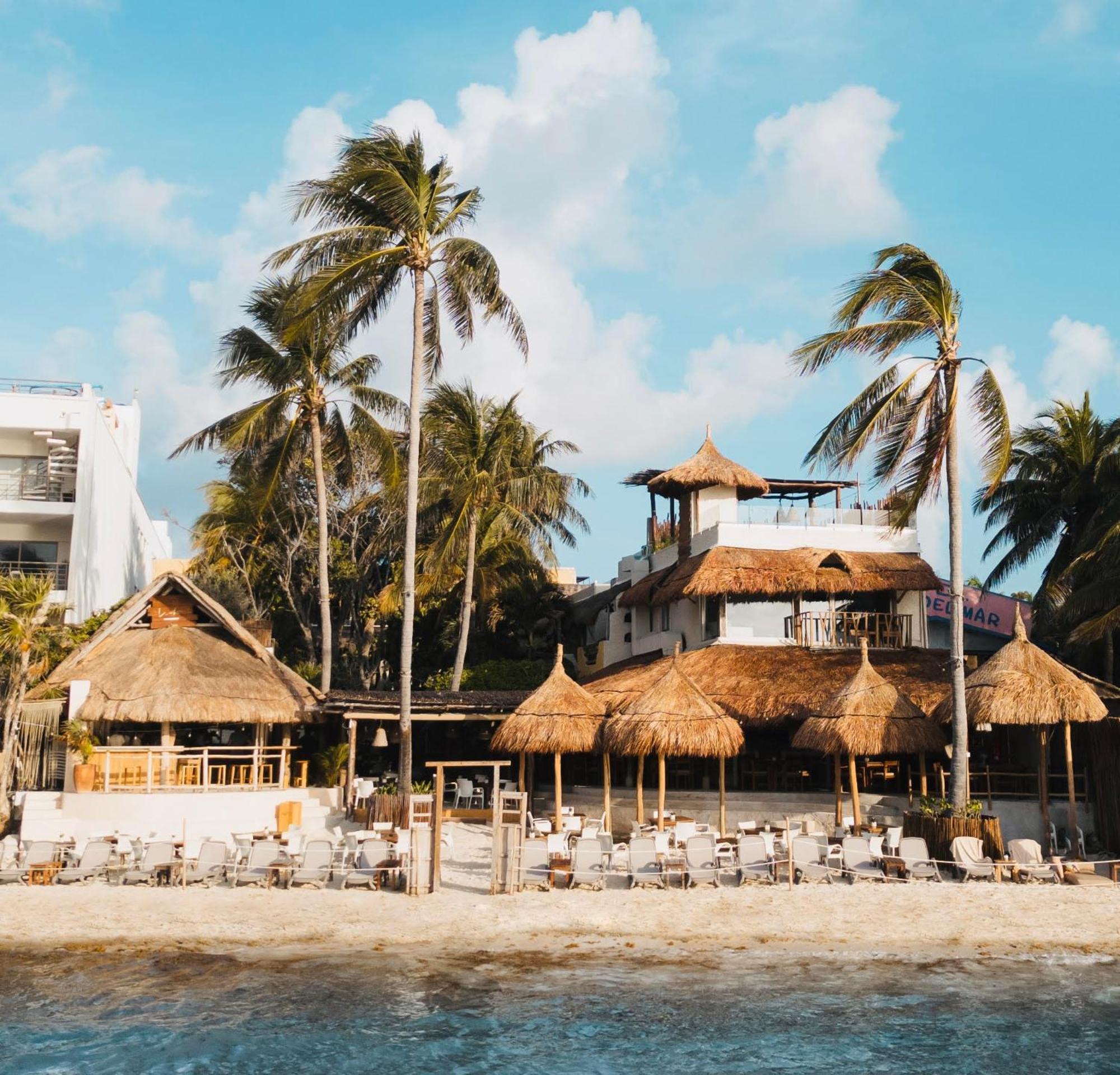 Colibri 4* Playa del Carmen