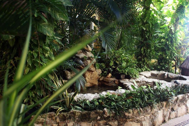 Colibri Hotel Playa del Carmen